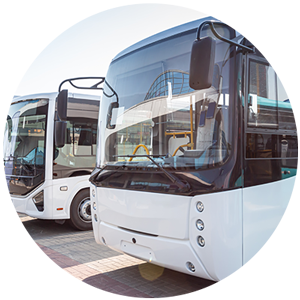 Buses