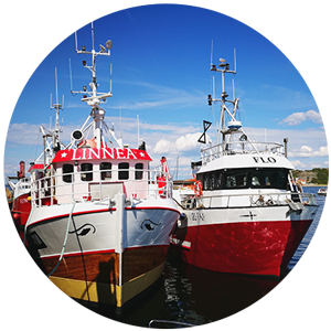 Barcos - Aviones