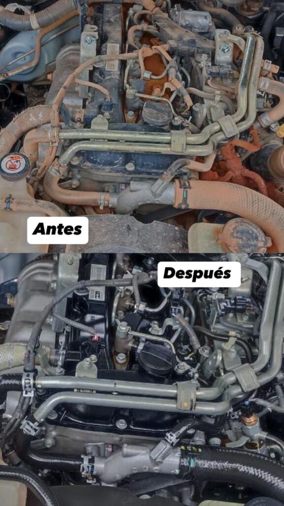 WhatsApp Image 2025-10-08 at 12.03.46 (1)